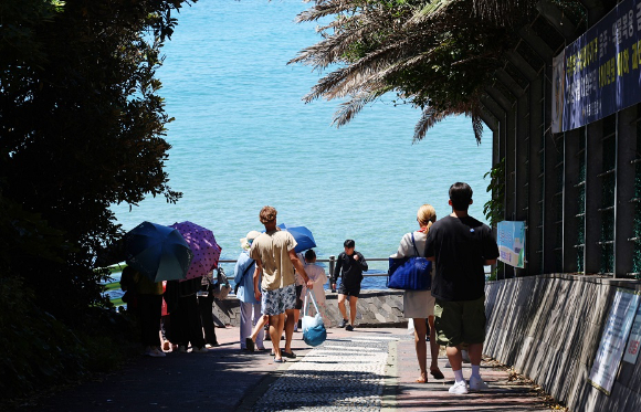 무더위가 이어지면서 제주 서귀포시 중문해수욕장으로 피서객들 발길이 이어지고 있다. [사진=연합뉴스]