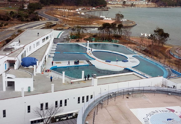 국대 최대규모 돌고래 체험장 '거제씨월드'[사진=거제씨월드]