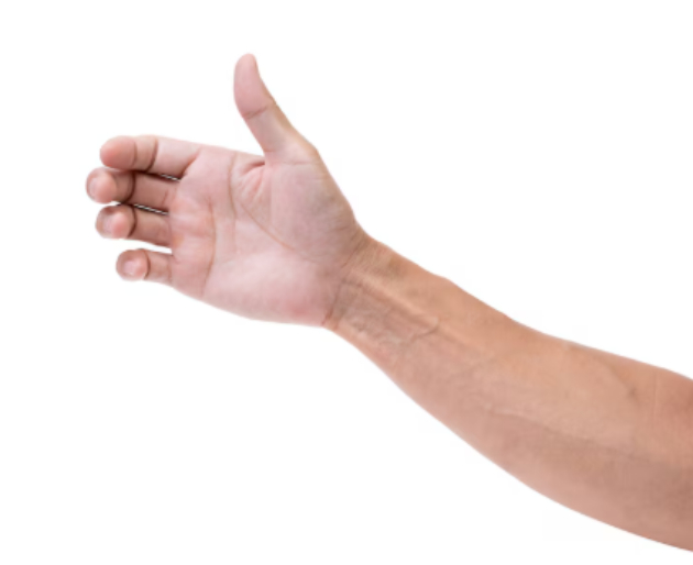 엄지손가락이 길수록 뇌 크기 역시 커진다는 연구 결과가 나왔다. 사진은 손가락. [사진=Freepik]