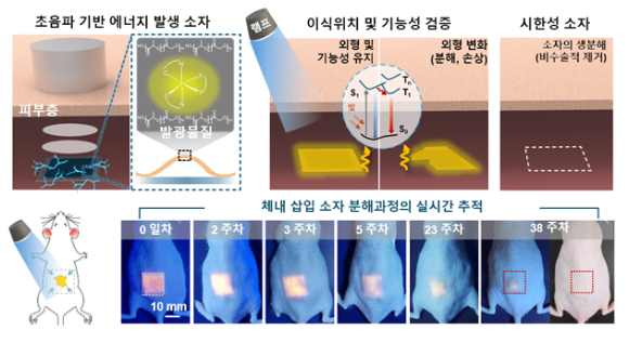 몸속에 삽입된 뒤 체외 초음파만으로 전기를 만들고 빛으로 자신의 상태를 알려주는 생분해성 소자가 개발됐다. [사진=한국연구재단]