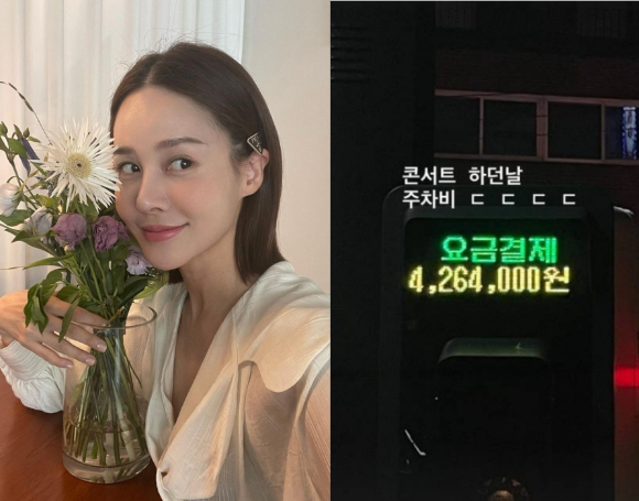 가수 겸 뮤지컬 배우 아이비가 지난 17일 SNS에 426만원이 집계된 주차장 요금 내역을 올렸다. [사진=아이비 SNS]