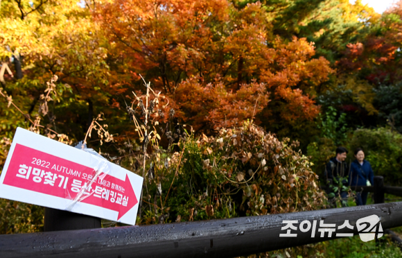 29일 서울 은평구 북한산 원효능선에서 진행된 '산악인 오은선과 함께 하는 제6회 희망찾기 등산·트레킹 교실'에서 참가자들이 트레킹을 하고 있다. [사진=김성진 기자]