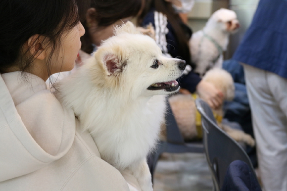 산림청 산하 국립자연휴양림관리소는 지난 20일 강원특별자치도 원주시 소재 사립피노키오자연휴양림에서 반려견 동반 체험프로그램인 '숲속 멍스토랑' 행사를 진행했다. 해당 행사는 오는 27일 한 차례 더 열릴 예정이다. [사진=국립자연휴양림관리소/산림청]