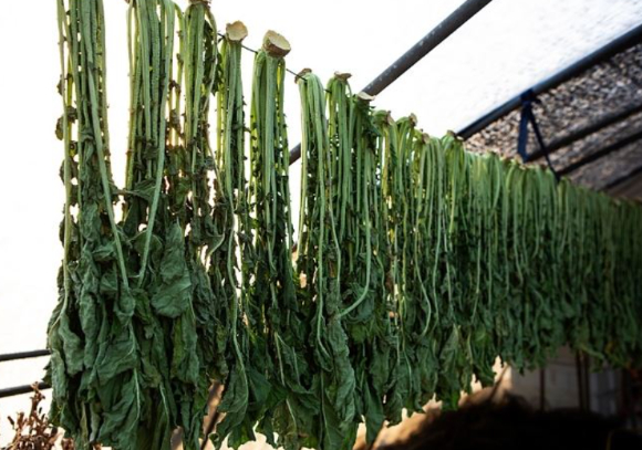 혈당과 췌장 건강에 도움을 줄 수 있는 음식이 전문가 설명을 통해 나왔다. 사진은 AI 생성 이미지로, 본 기사 내용과 무관. [사진=챗GPT]