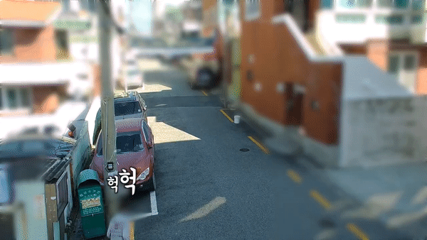 경찰이 지난달 15일 오전 9시 50분쯤 부산 남구에서 조화를 훔친 도주범을 체포하고 있다. [사진=부산경찰 유튜브 캡처]