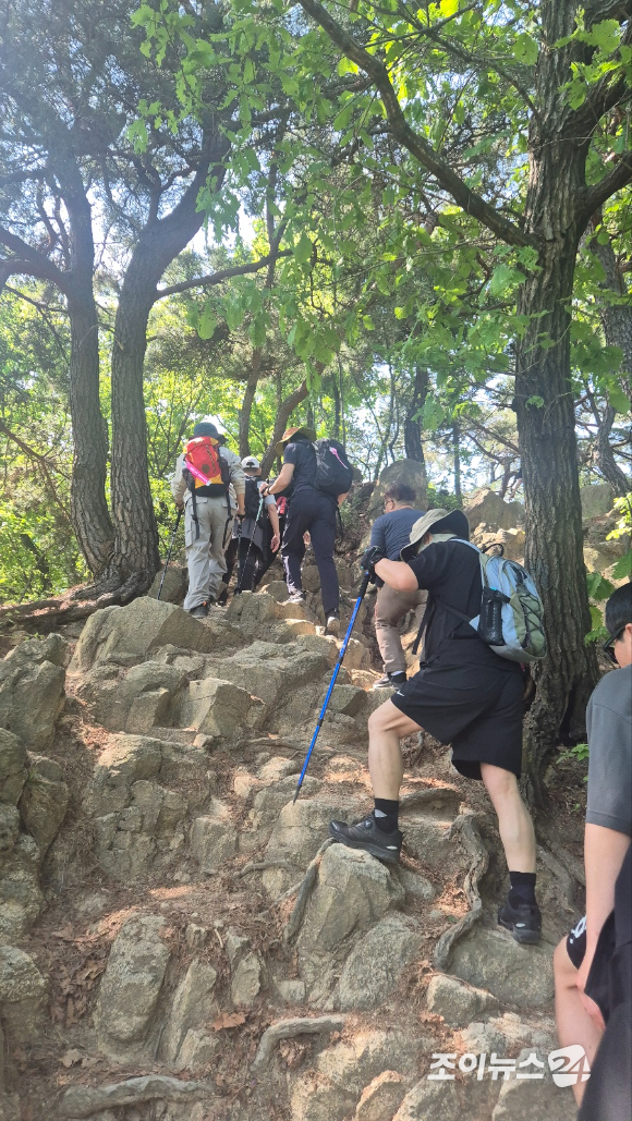 25일 서울 강북구 우이동 만남의 광장에서 열린 산악인 오은선 대장과 함께하는 '제13회 희망찾기 등산&middot;트레킹 교실' 참가자들이 북한산 진달래 능선을 걷고 있다. [사진=김양수 기자]