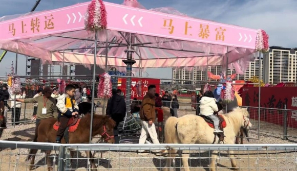 중국에서 논란이 된 살아있는 회전목마 [사진=더우인]