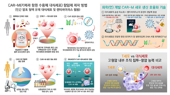 최지우 석사후연구원(1저자)이 혈액 성분을 대식세포로 배양하기 위해 피펫 도구를 이용해 여러 개의 웰(well, 작은 용기)에 옮기고 있다 [사진=화학연]