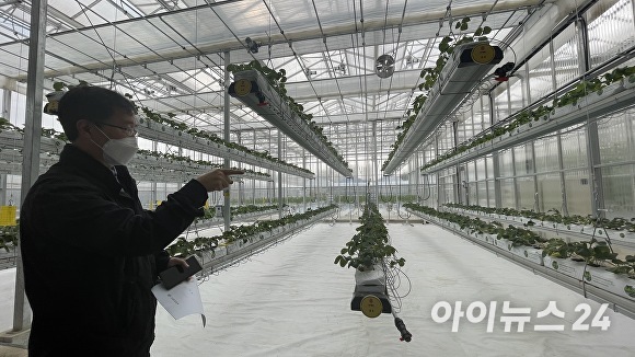 농업기술센터 김영복 과장이 온실 내 딸기 재배를 스마트폰으로 제어하는 과정을 설명하고 있다. [사진=이숙종 기자]