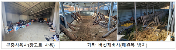 실경작을 하지 않고 버섯재배사, 곤충사육사, 축사 등 농축산물 생산시설로 위장한 태양광 발전시설이 적발됐다. [사진=국무조정실]