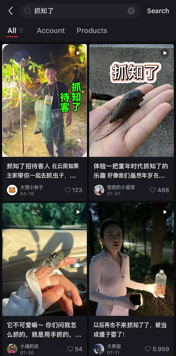 일본 도쿄의 공원 곳곳에서 중국인들이 식용 목적으로 매미 유충을 대량 포획하고 있다는 자국 보도가 전해졌다. 사진은 본 기사 내용과 무관. [사진=David Woolley]