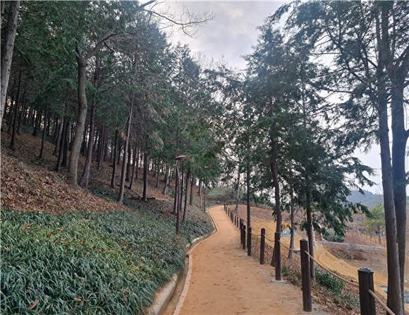 이상동기 범죄예방 인프라 조성사업 대상지인 함평천지길 수산봉 숲길 일원 [사진=함평군]