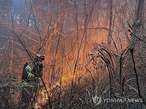 10일 오후 경북 의성군에서 대형 산불이 나 산불 대응 2단계와 소방 대응 2단계가 발령된 가운데 한 소방관이 진화에 나서고 있다. 2026.1.10 [경북도소방본부 제공] [사진=연합뉴스]