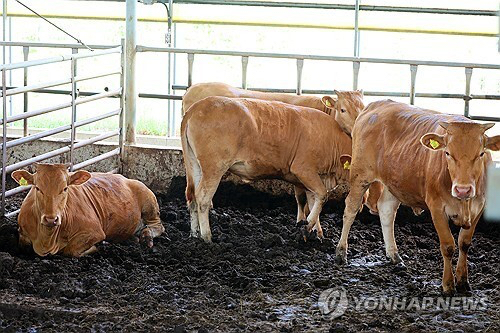 기사와 직접적인 관련 없는 참고 사진. [사진=연합뉴스 자료사진]