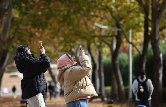 대구 북구 경북대학교 캠퍼스에서 외국인 학생들이 두꺼운 점퍼를 입고 단풍 사진을 찍고 있다. [사진=연합뉴스]