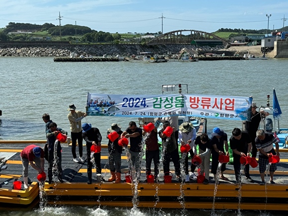 전라남도 함평군이 함평만 일원에서 감성돔 방류행사를 하고 있다 [사진=함평군]