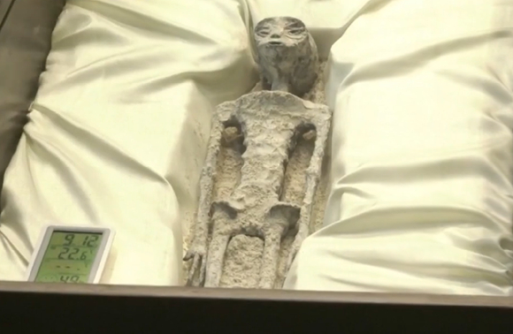 12일(현지시간) 멕시코 의회가 연 청문회에서는 '인간이 아닌 존재'의 시신이라고 주장하는 물체가 등장했다. [사진= JTBC]