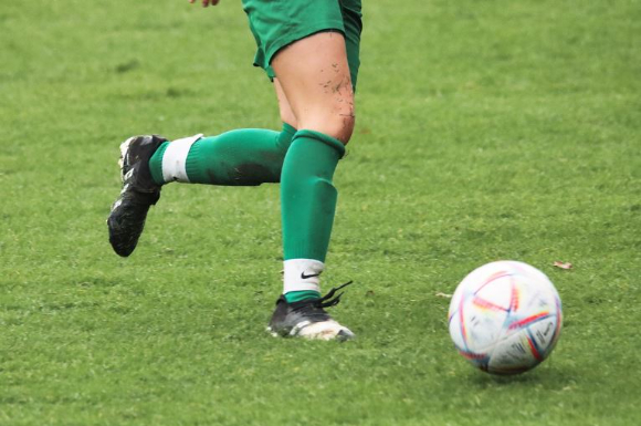 프로축구 대전하나시티즌 소속 현역 축구선수가 성범죄 혐의로 입건돼 경찰 조사를 받고 있다. 본 기사와 무관한 이미지. [사진=픽사베이@planet_fox]