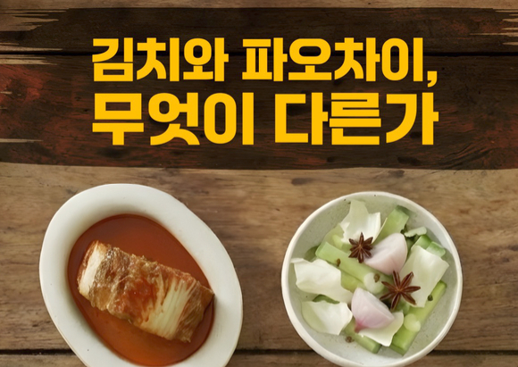 문세윤, 서경덕 교수 관련 이미지 [사진=서경덕 교수팀]