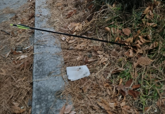 산책 중인 여성 근처로 화살을 쏜 남성 2명이 경찰에 입건됐다. 사진은 화살을 쏘고 있는 남성 2명의 모습. [사진=JTBC 보도화면 캡처]