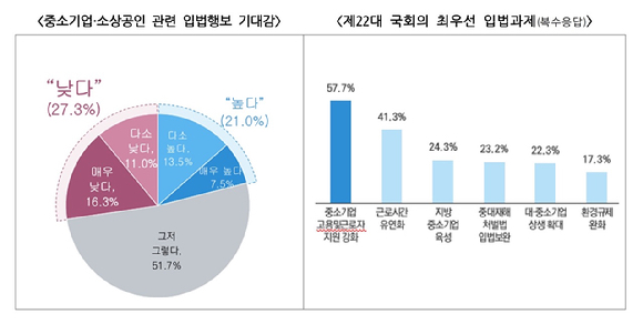 중소기업중앙회 '22대 국회에게 바란다' 조사결과 그래프. [사진=중소기업중앙회]