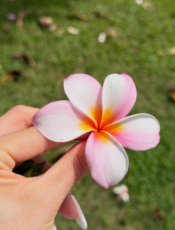 변요한 [사진=변요한 SNS]