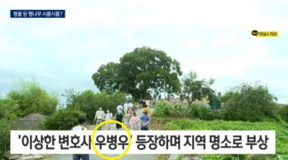 채널A가 생방송 도중 자막을 잘못 기입하는 실수를 저질렀다. [사진=채널A]