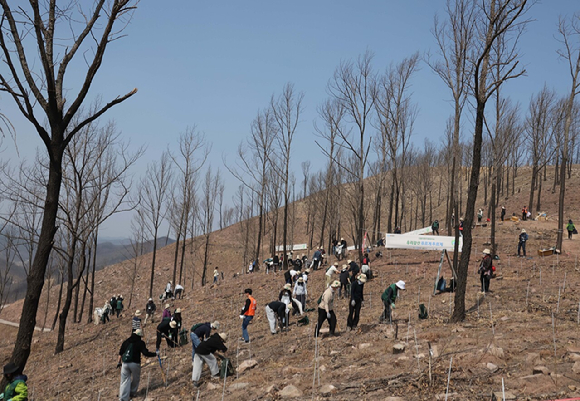 유한킴벌리가 28일 경북 안동 산불피해지에서 '우리강산 푸르게 푸르게 2026 신혼부부 나무심기'를 진행했다. 참가자들이 나무심기에 열중하고 있다. [사진=유한킴벌리]