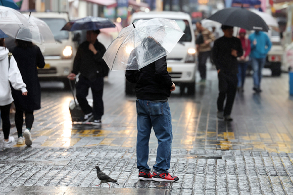 서울 중구 명동거리에서 우산을 쓴 행인들이 발걸음을 옮기고 있다. [사진=뉴시스]