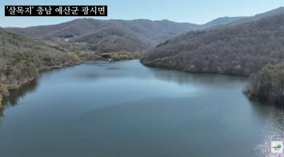 [사진=엑스 캡처] 