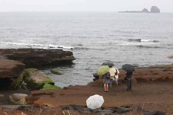 10일 오전 제주 서귀포시 안덕면 사계리 해안을 찾은 관광객이 우산을 들고 바닷가 정취를 즐기고 있다. 2026.2.10 [사진=연합뉴스]