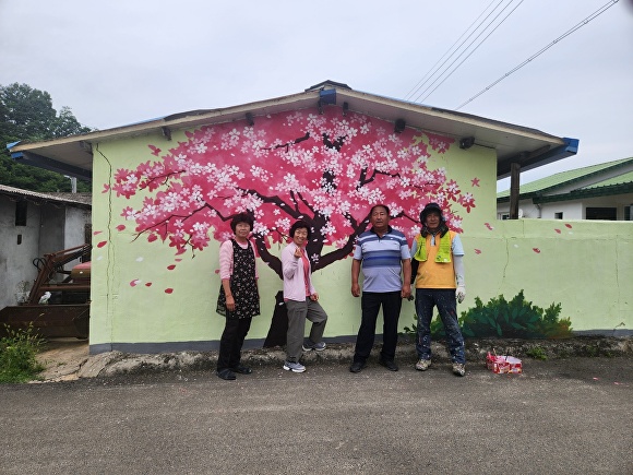 김천시 조마면이 삼산리 벚꽃 테마 벽화를 조성해 주민들로부터 호평을 받고 있다. [사진=김천시청]