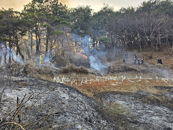 산불을 진화하고 있는 장면  [사진=임실군 ]