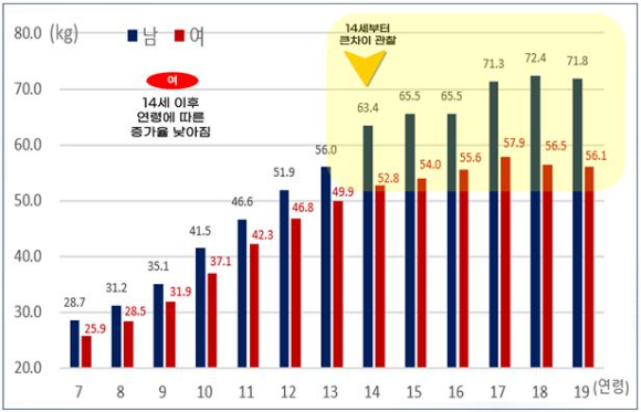 한국인 아동·청소년 남녀 몸무게 경향(2023) [사진=국가기술표준원]