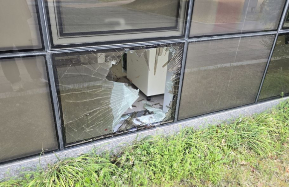 대전 오월드에서 늑대 1마리가 탈출해 8일째 포획되고 있지 않은 가운데, 세종에서도 도심에 멧돼지가 출몰하는 일이 발생했다. 본 기사와 무관한 이미지. [사진=픽사베이@webandi]