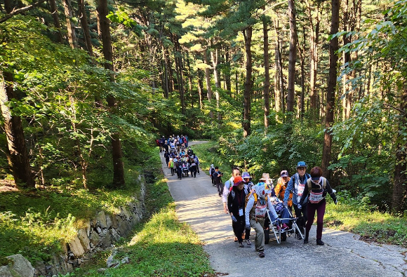 한국산림복지진흥원이 2026년 취약지역 녹색인프라 확충 및 취약계층 숲체험&middot;교육 지원 공모사업을 진행한다. [사진=한국산림복지진흥원]