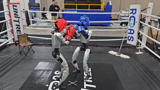 유니트리·로아스 공동 부스에서 휴머노이드 'G1' 두 대가 복싱 글로브를 착용하고 실제 복싱 대결을 시연하고 있다. [사진=설재윤 기자]