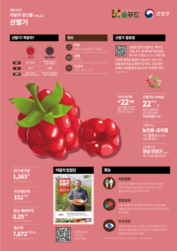 3월의 임산물로 '산딸기'가 선정됐다. [사진=산림청 ]