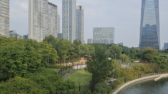 포항 송도솔밭도시숲은 2025년 모범 도시숲으로 인증받았다. [사진=산림청]