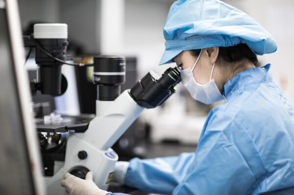 대웅테라퓨틱스가 개발한 마이크로니들 패치의 약물층을 시각적으로 표현하기 위해 색소를 첨가하고 6.7배 확대 촬영한 모습. [사진=대웅 제공]