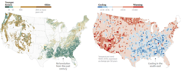 미국 남동부 지역에서는 산림 재조림으로 어느 정도 냉각 효과가 있었던 것으로 나타났다. [사진=맬러리 반스/가디언]