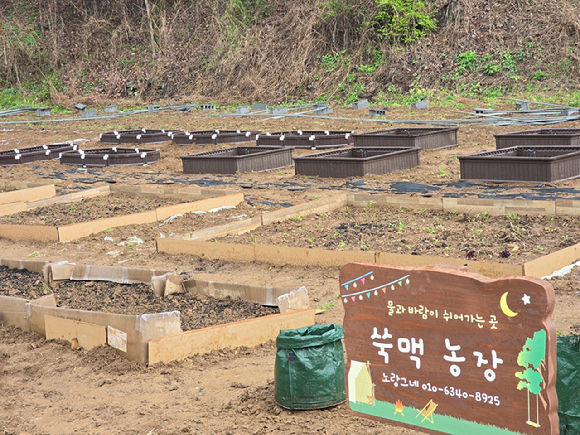노랑그네 행정 수도. [사진=어린이경제신문]