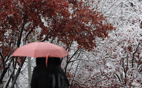 지난해 첫눈이 내린 서울에서 11월27일 덕수궁 인근에서 시민이 걸어가고 있다. [사진=연합뉴스]