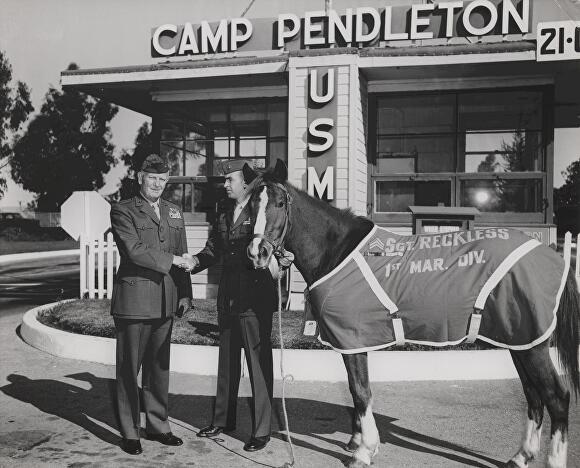 펜들턴 기지(Camp pendleton)에서 열린 '레클리스 교대식' [사진=한국마사회 제주본부]