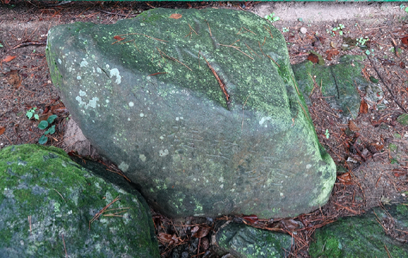 가지끝에 남아있는 설화(상고대) [사진=박성기 ]