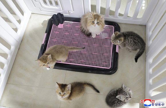 김정은 북한 국무위원장이 딸 주애와 함께 개업을 앞둔 '평양의 신도시' 화성지구 4단계 구역의 봉사시설(상업시설)을 돌아보며 운영준비 상태를 요해(파악)했다고 조선중앙통신이 3일 보도했다. 2026.4.3 [사진=조선중앙통신/연합뉴스]