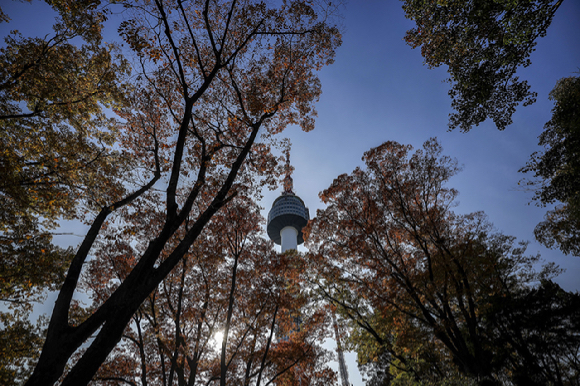 서울 중구 N서울타워가 울긋불긋 빛깔로 물든 단풍 사이로 보이고 있다. 2024.10.31. [사진=뉴시스]