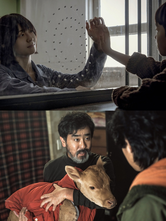 부산국제영화제 [사진=부산국제영화제]