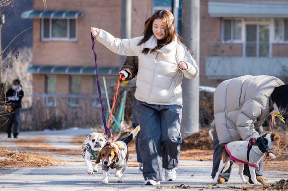 한진은 지난 12일 &lsquo;Love Connect 캠페인&rsquo;의 일환으로 유기견 구조단체 비글구조네트워크 논산센터를 방문해 유기견 돌봄 봉사활동을 진행했다. [사진=한진]