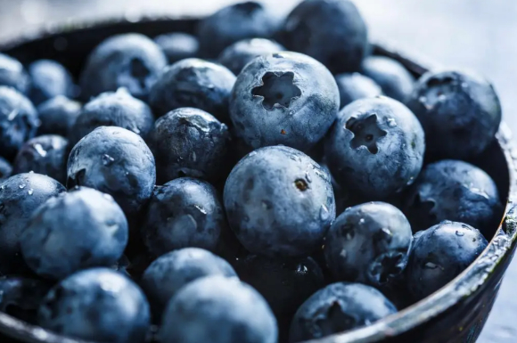 블루베리를 일정량 꾸준히 섭취하면 고령층의 기억력과 혈압이 동시에 개선될 수 있다는 임상 연구 결과가 나왔다. 사진은 AI 생성 이미지로, 본 기사 내용과 무관. [사진=챗GPT]